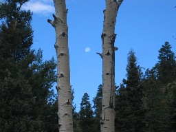 Moon from Greenwood Canyon